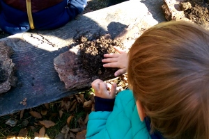 aron2forestschool1602230055