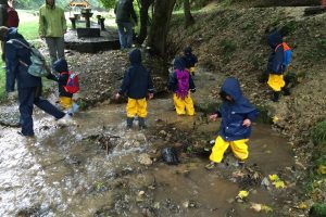 forestschool21602230118