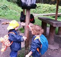 forestschool41602230050